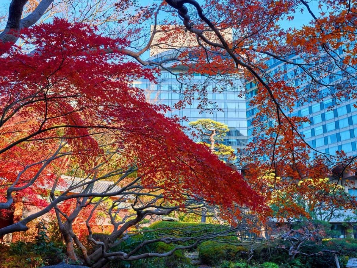 Hotel New Otani Tokyo The Main Екстер'єр фото Autumn at the University of Tokyo